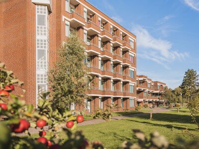 Außenaufnahme der Einrichtung Haus Alte Liebe in Cuxhaven im herbstlichen Licht